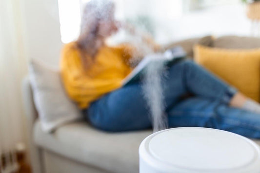 Air Purifier Buying Guide | Things to Consider Before Buying an Air Purifier