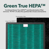 Coway Airmega 160: Breathe Easy with True HEPA Air Purifier (214 Sq Ft)