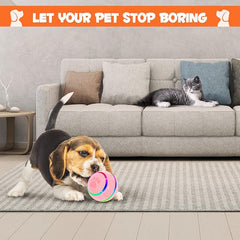 Interactive Dog Toy – Keep Your Dog Active, Happy & Engaged