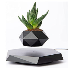 Smart Tech Shopping pots Black / US Plug Floating Plant Pot  for Succulents air Bonsai Plants Floating Planter