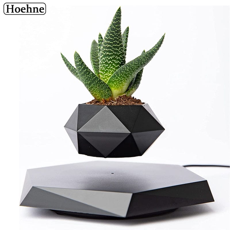 Smart Tech Shopping pots Floating Plant Pot  for Succulents air Bonsai Plants Floating Planter