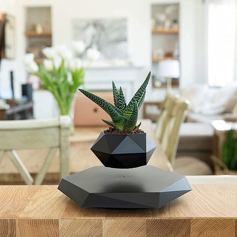 Smart Tech Shopping pots Floating Plant Pot  for Succulents air Bonsai Plants Floating Planter