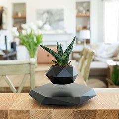 Smart Tech Shopping pots Floating Plant Pot  for Succulents air Bonsai Plants Floating Planter