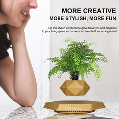 Smart Tech Shopping pots Floating Plant Pot  for Succulents air Bonsai Plants Floating Planter