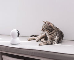 Night Vision Smart Camera - Smart Tech Shopping