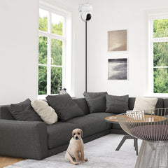 TP-Link Tapo C210/C200 Wall Mount! Wider View, Easy Install (Clear Acrylic)