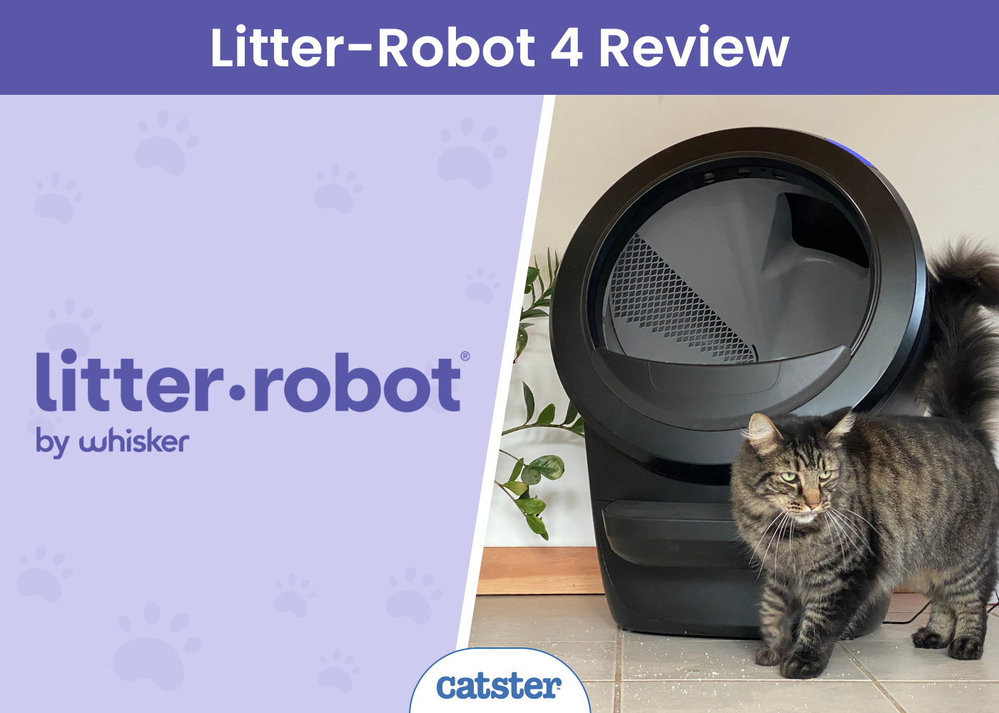 Tech Litter Whisker Litter-Robot 4 Review: Best Luxury Litter Box for 2025 – Smart ...