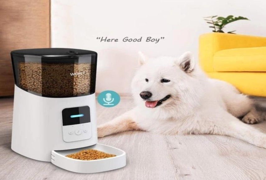 Best Automatic Pet Feeder Guide | Why should you buy an Automatic Pet Feeder?