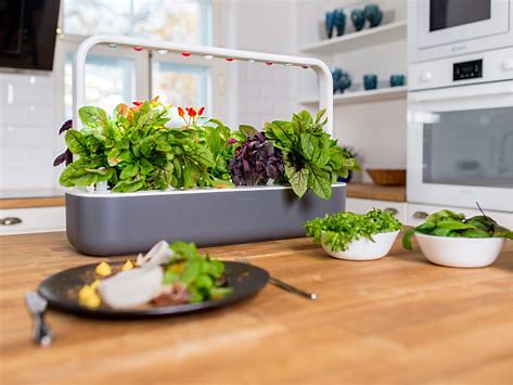 Click and Grow vs. AeroGarden: Which Smart Garden is Right for You?