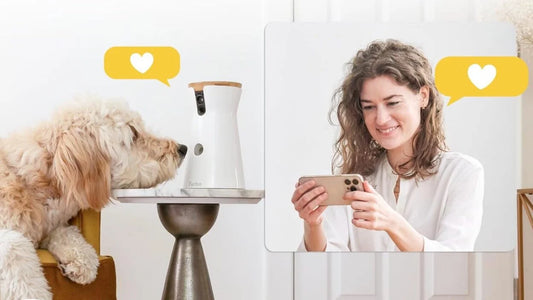 Spoil Your Furry Friend with the Best Smart Pet Tech