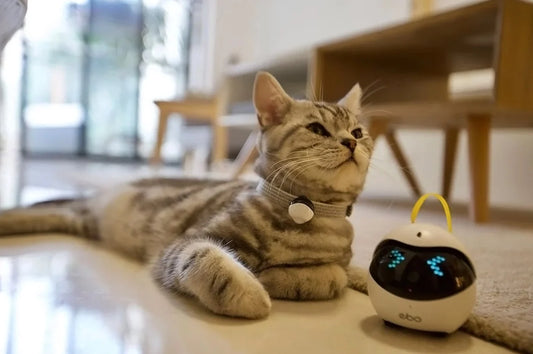 Pet Friendly Smart Home: Gadgets to Keep Furry Pets