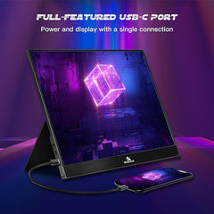 NexiGo 300Hz Portable Gaming Monitor: FHD, FreeSync, G-SYNC Compatible (17.3")