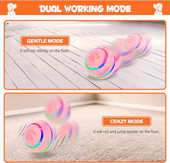 Interactive Dog Toy – Keep Your Dog Active, Happy & Engaged