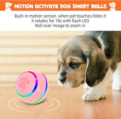 Interactive Dog Toy – Keep Your Dog Active, Happy & Engaged