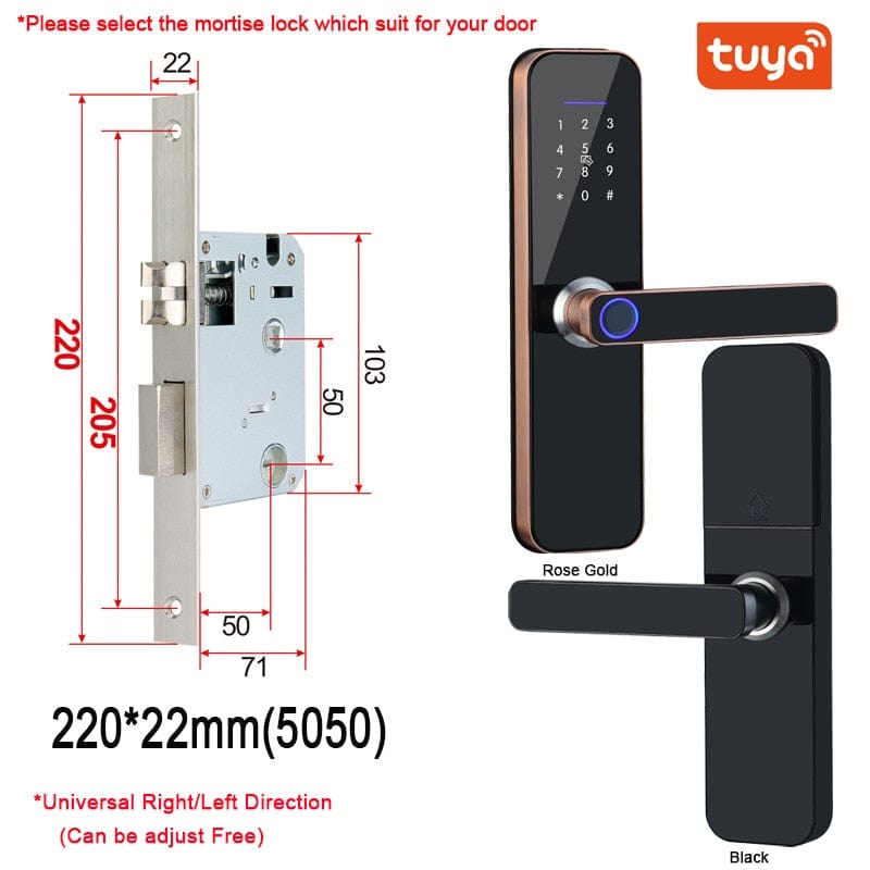 Smart Tech Shopping 220x22(5050) / China / Black Tuya Wifi Electronic Smart Door Lock
