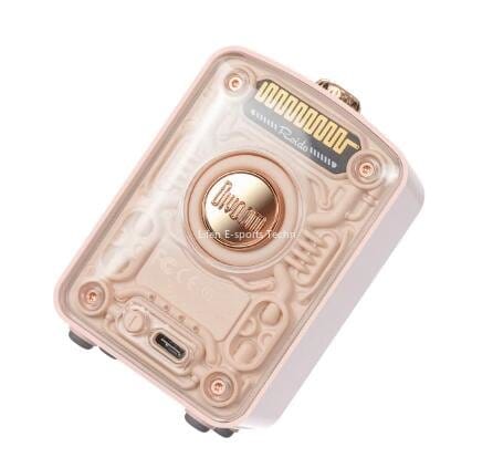 Smart Tech Shopping bluetooth speakers Divoom Fairy-OK: Multi-function Bluetooth Speaker with Karaoke Mic