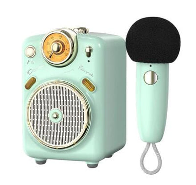 Smart Tech Shopping bluetooth speakers Green Divoom Fairy-OK: Multi-function Bluetooth Speaker with Karaoke Mic