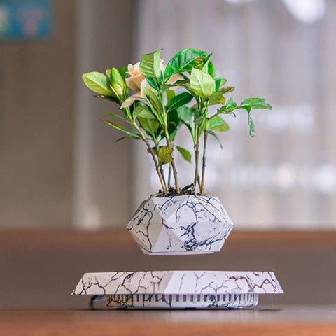 Smart Tech Shopping pots Floating Plant Pot  for Succulents air Bonsai Plants Floating Planter