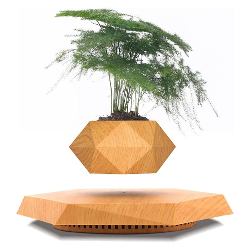 Smart Tech Shopping pots Wood Grain / US Plug Floating Plant Pot  for Succulents air Bonsai Plants Floating Planter