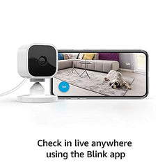 Blink Mini: Affordable Indoor Cam (Night Vision, 2-Pack)