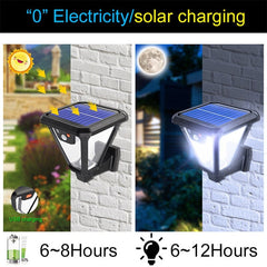 Solar Garden Light with Remote Control for Versatile Lighting