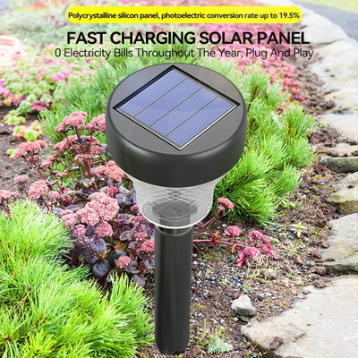 Illuminate Your Garden with LED Solar Pathway Lights