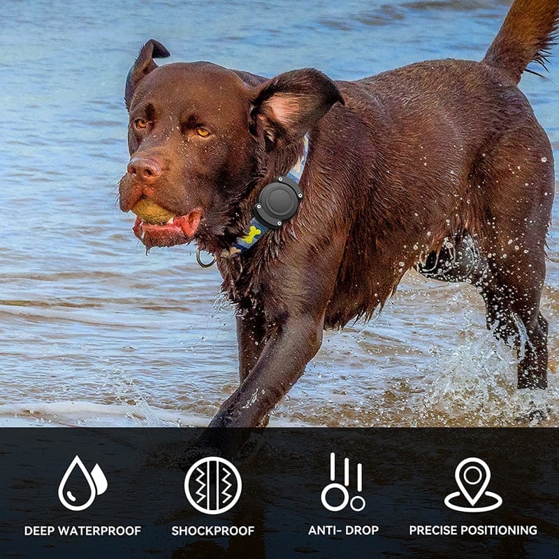 Waterproof Protective Apple Air Tag Dog Collar Holder With GPS Tracker